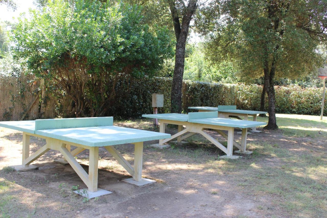 Camping Le Puits De L'Auture Hotell Saint-Palais-sur-Mer Exteriör bild